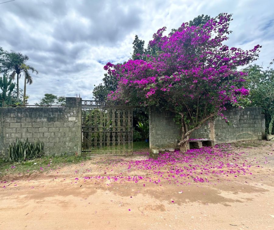 Chácara - Venda - Santa Ella - Araçariguama - SP