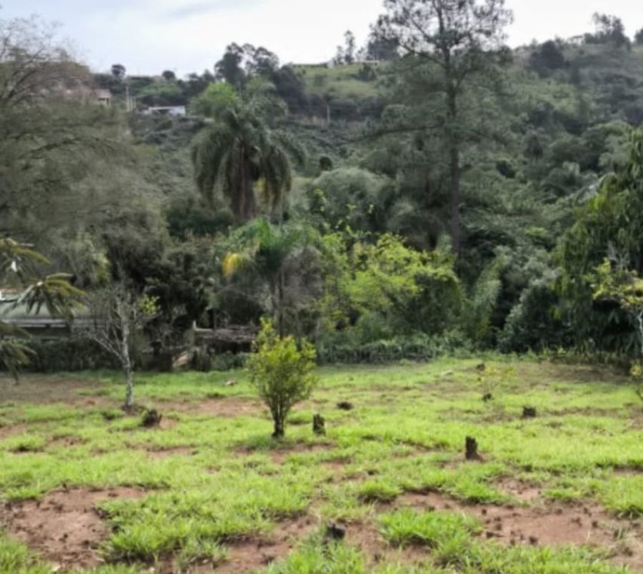 Sítio - Venda - Cruz das Almas - Araçariguama - SP