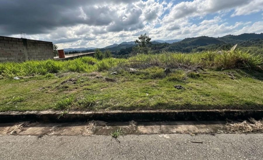 Terreno - Venda - Cruz das Almas - Ara�ariguama - SP
